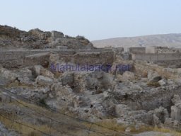 Yacimiento  Sisaya 2007